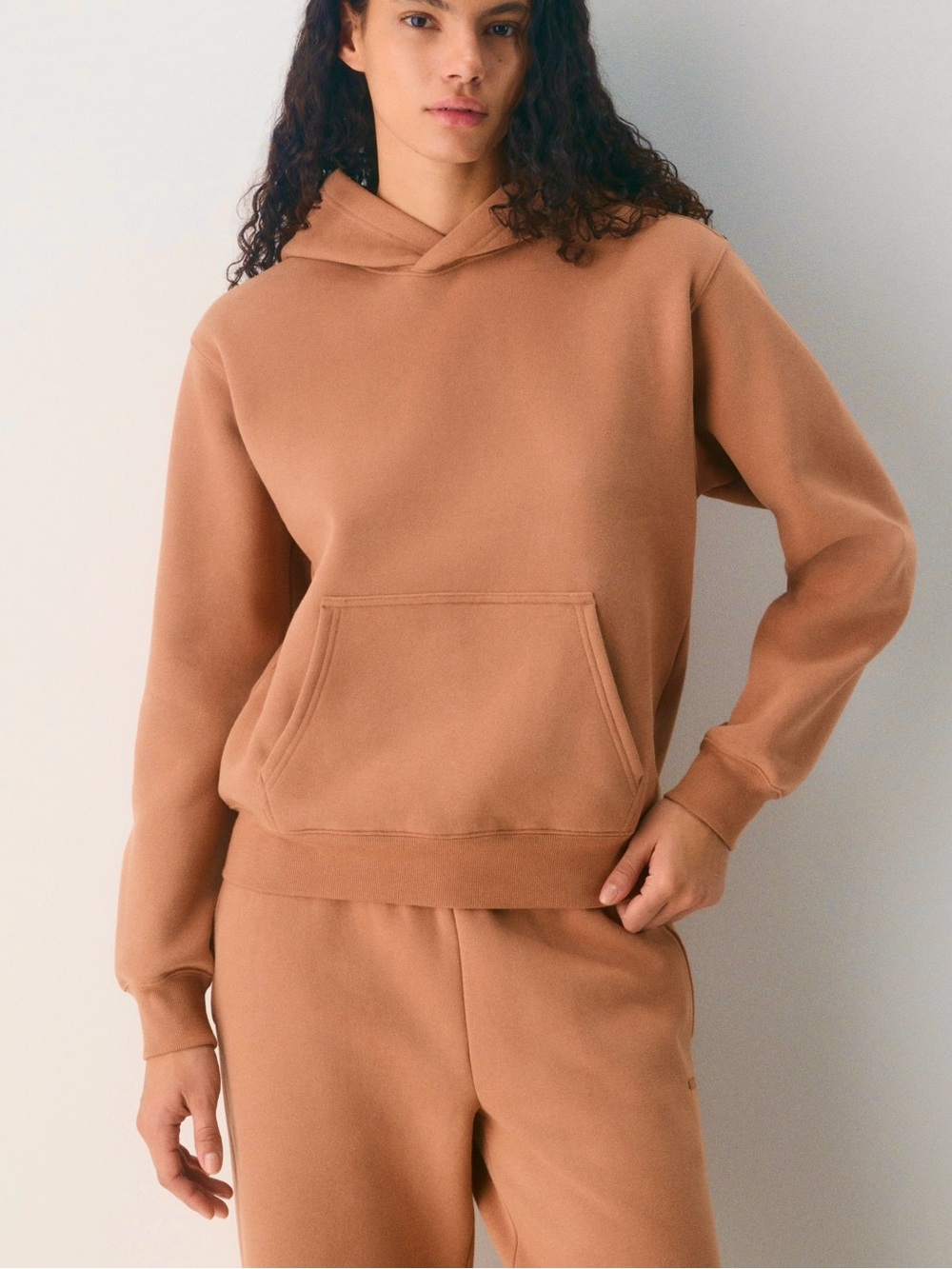 Aritzia - TNA Cozy Sweatfleece Perfect Hoodie